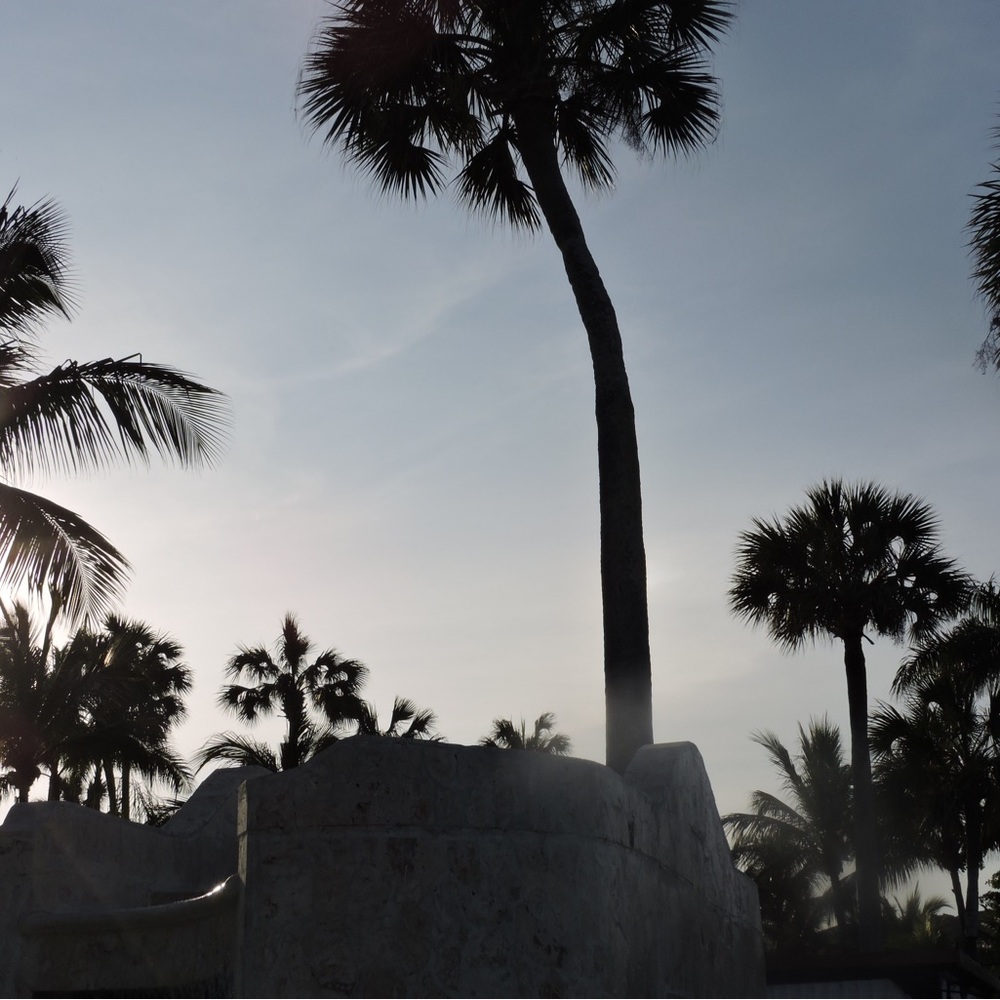 Meet your Posher, Finella